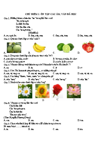 Tổng hợp đề thi thử Trạng nguyên tiếng việt lớp 1 các cấp 2025-2026 (Có đáp án)
